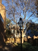 16th Jan 2013 - On the College of Charleston campus today.