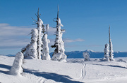 16th Jan 2013 - Mountain top snowscape