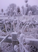 16th Jan 2013 - Icy Conditions on my Birthday :-(