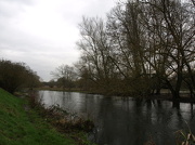 17th Jan 2013 - River Avon Salisbury week three - 17-1