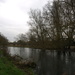 River Avon Salisbury week three - 17-1 by barrowlane