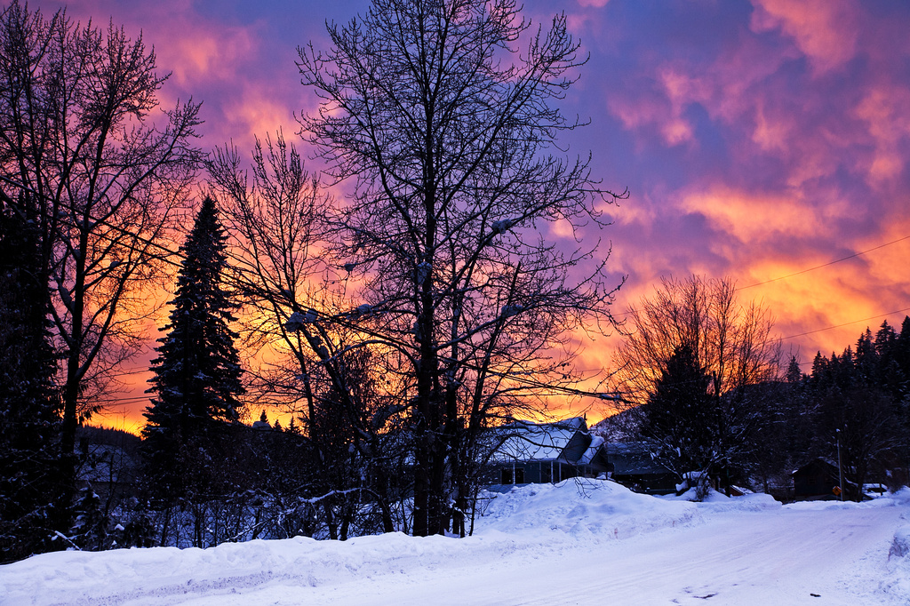 Winter Sunset by kiwichick