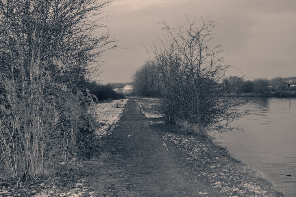 Our cold canel walk. by charliebrammer