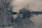 17th Jan 2013 - Our cold canel walk.