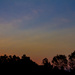 dusk by corymbia