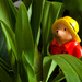 18th Jan 2013 - Padington searching for Pooh-1 by pamknowler