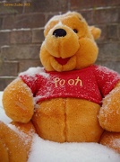 18th Jan 2013 - Oh Bother!