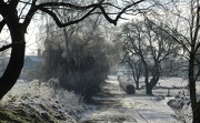 18th Jan 2013 - Icy Track