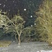 Snowy night by harveyzone