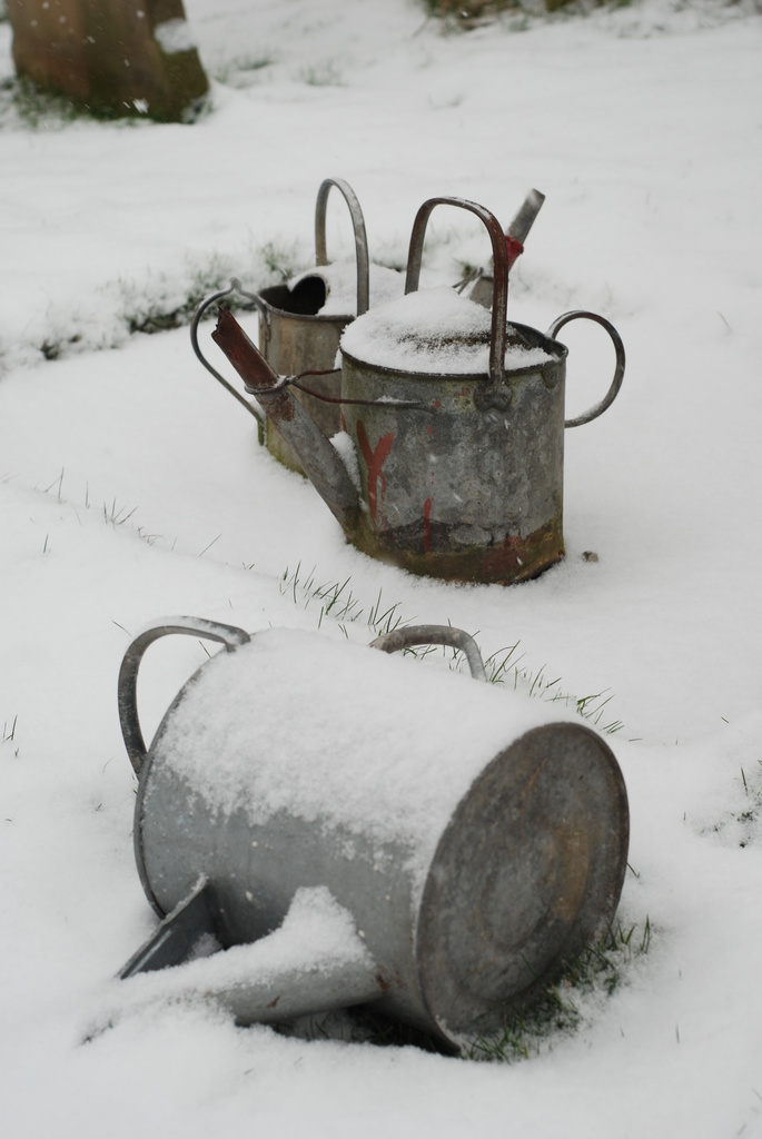 Watering Cans by tracybeautychick