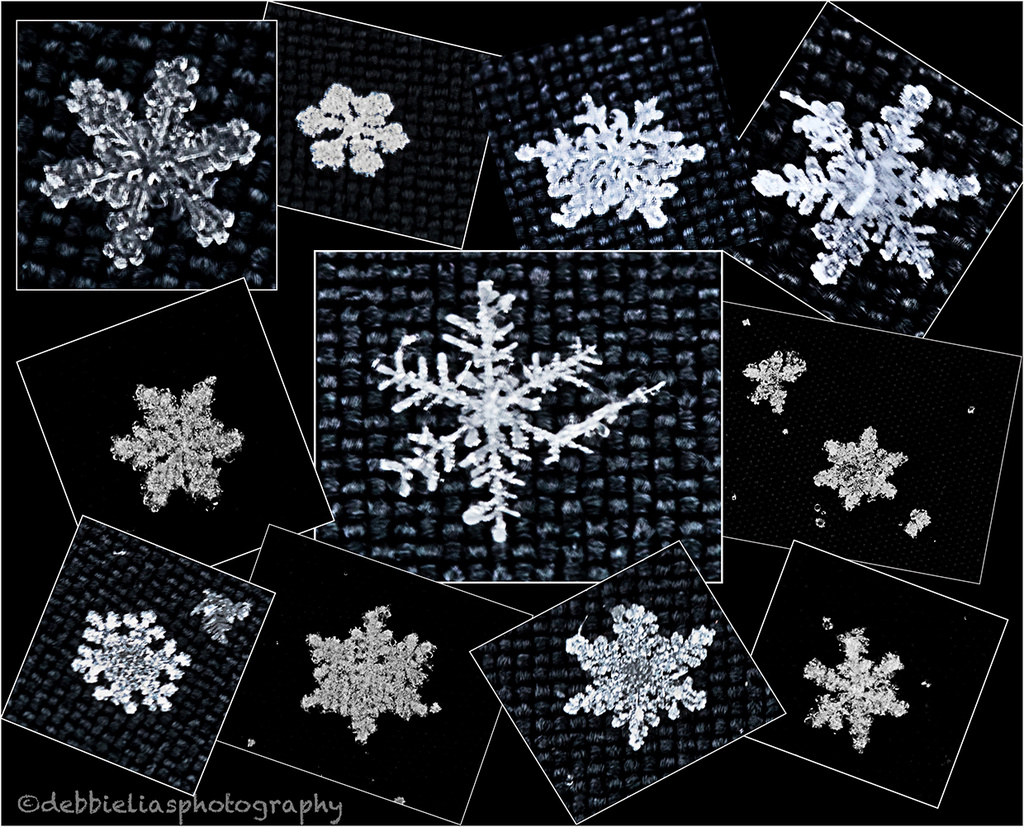 18.1.13 no 2 snowflakes are the same by stoat
