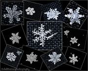 18th Jan 2013 - 18.1.13 no 2 snowflakes are the same