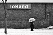 18th Jan 2013 - Iceland