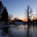 January Duck Pond by mandyj92