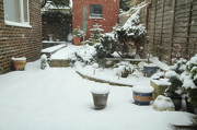 18th Jan 2013 - Snow!!!