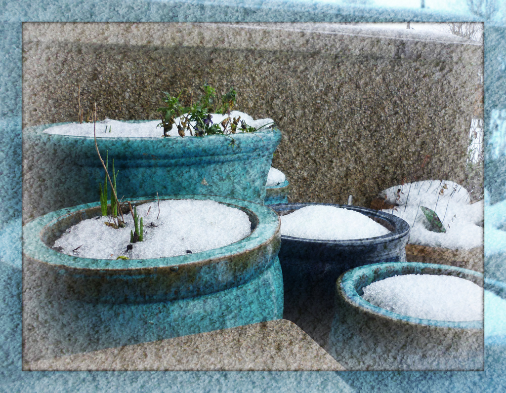 Pots of snow by sarah19