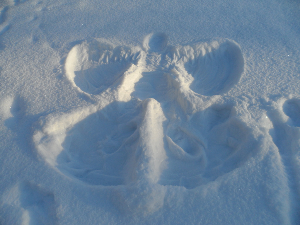 Snow Angel by tiss