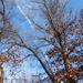 Blue January Sky by julie