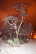 14th Jan 2013 - FLAMING AVIEMORE