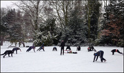 19th Jan 2013 - They do some strange things in Arnold ...keep fit in the snow