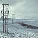 power lines by peadar
