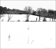 19th Jan 2013 - 19.1.13 Snowscape, Study 2
