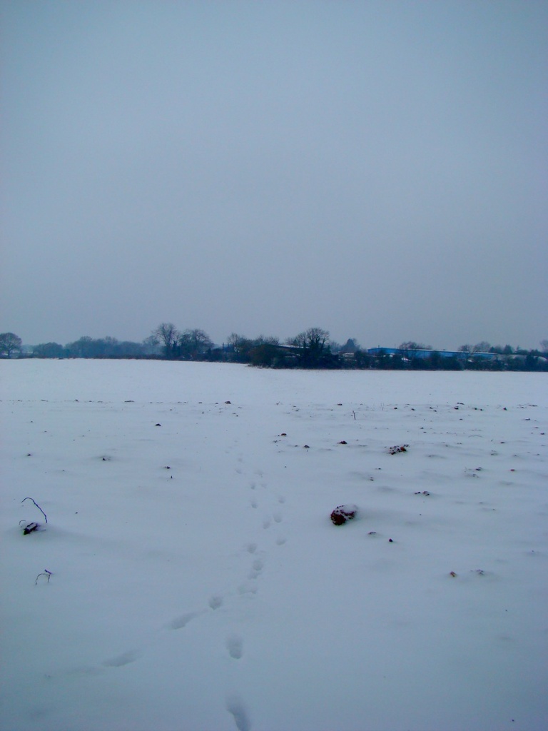Straight Footpath v7 Jan 13 "Snow" by bulldog