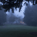 Foggy Park At  Dawn by jgpittenger