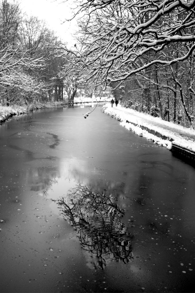 Almost Frozen Canal by nicolaeastwood
