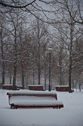 19th Jan 2013 - Montreal Park in a snowglobe