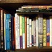 Bookshelf by margonaut