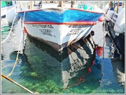 20th Jan 2013 - Agios Georgios Harbour,Cyprus
