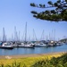 Harbour by corymbia