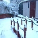 Snow  by bizziebeeme