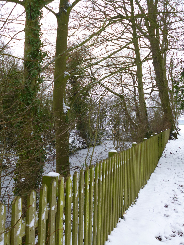 Snowy walk by lellie