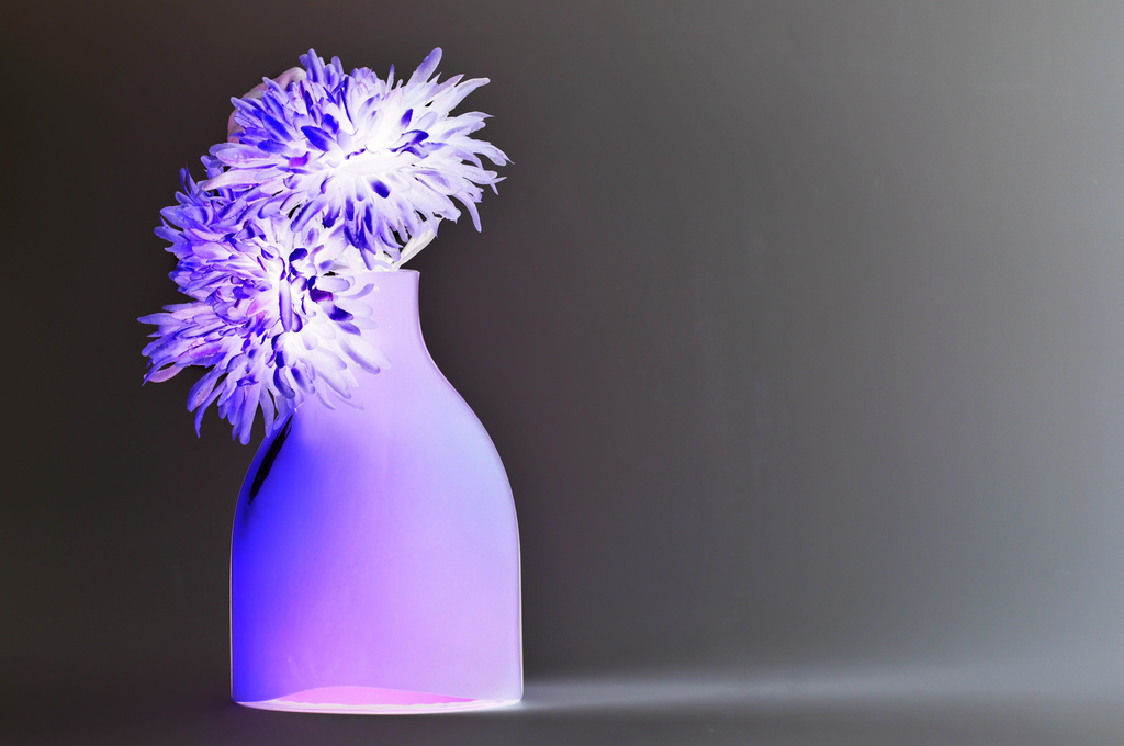 Vase with flowers by seanoneill
