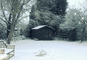 20th Jan 2013 - In a cottage in a wood...