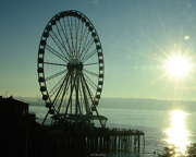 20th Jan 2013 - Seattle Sunshine
