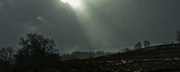 20th Jan 2013 - Storm Break Snowy Field