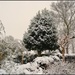 More Snow by tonygig