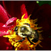 Precision Pollinator   (for lespip) by glimpses