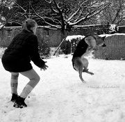 19th Jan 2013 - Just for fun: Play with the snow