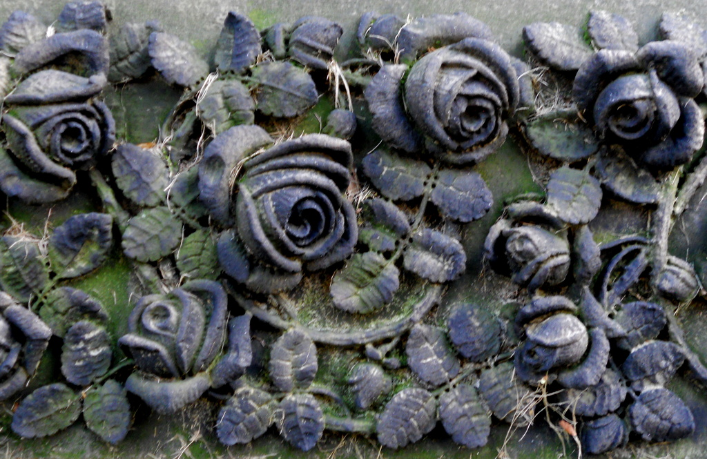 Rose on a Grave by yentlski