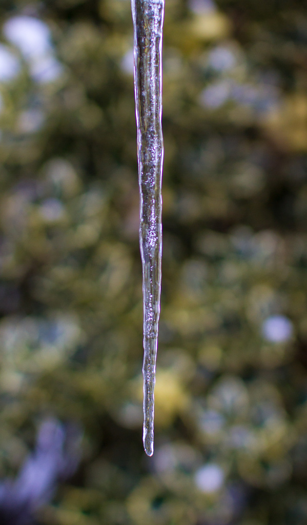 Day 21 - Icicle by snaggy