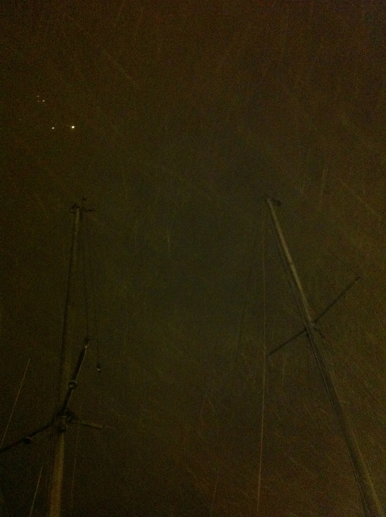 masts snow by ingrid2101