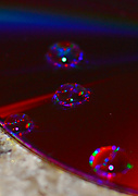 21st Jan 2013 - Droplets