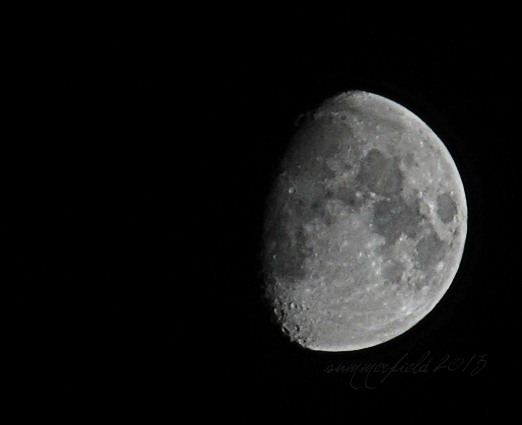 january moon shot by summerfield