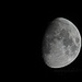 january moon shot by summerfield