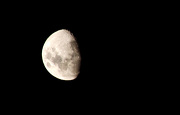 21st Jan 2013 - Half Moon