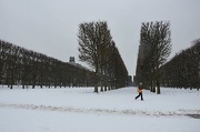 21st Jan 2013 - A walk in the snowy Luxembourg Garden